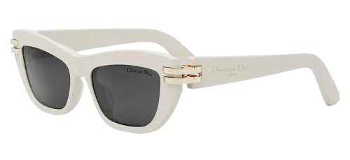 DIOR CDIOR B2U