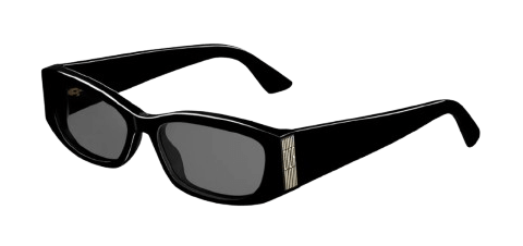 DIOR GRAPHIQUE S1F